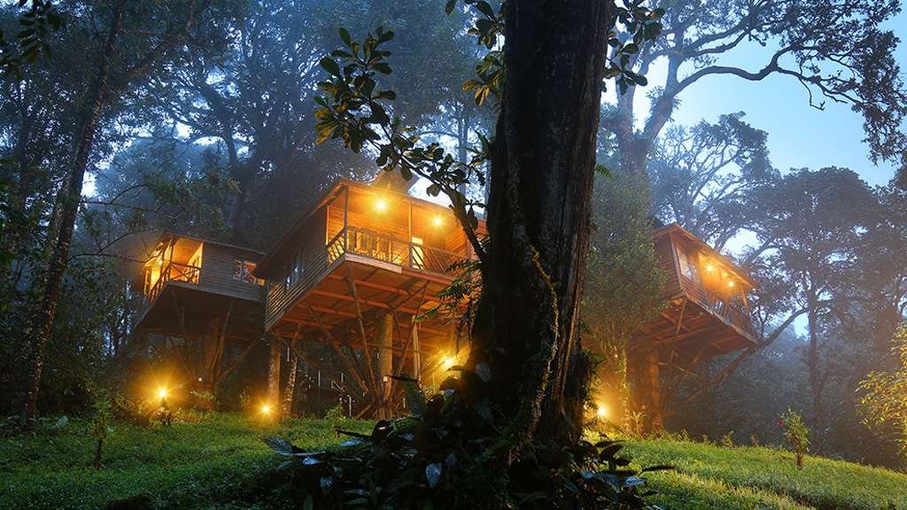 Best Travel Agency in Kerala offering customized Kerala tour packages and unforgettable travel experiences with Kerala Trip Advisors.